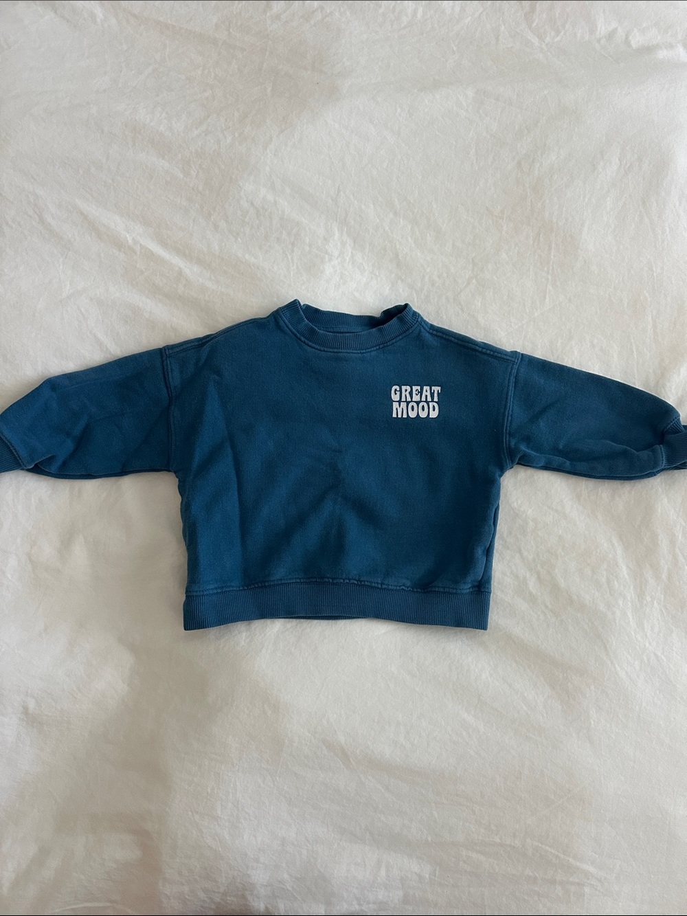 Zara Toddler Great Mood Blue Sweatshirt